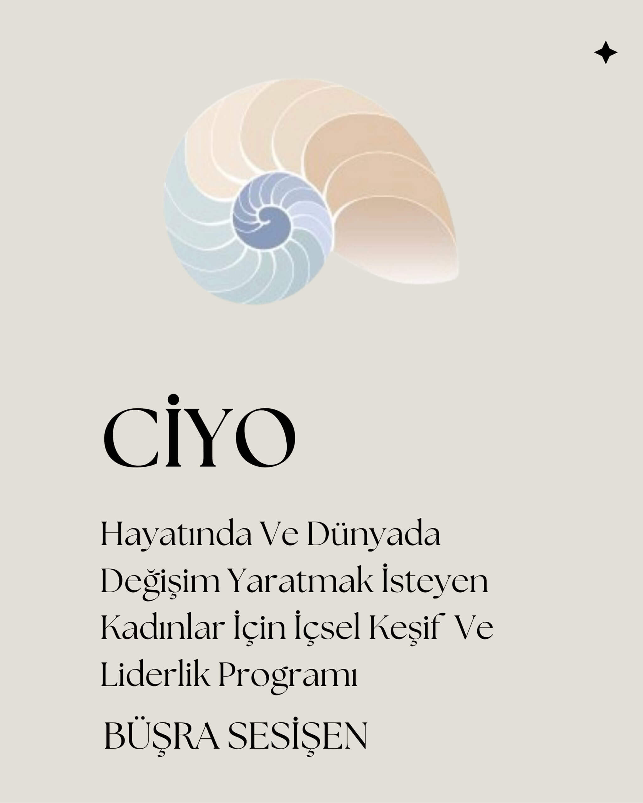 https://triadaandart.com/wp-content/uploads/2025/10/ciyo-kucuk.jpg