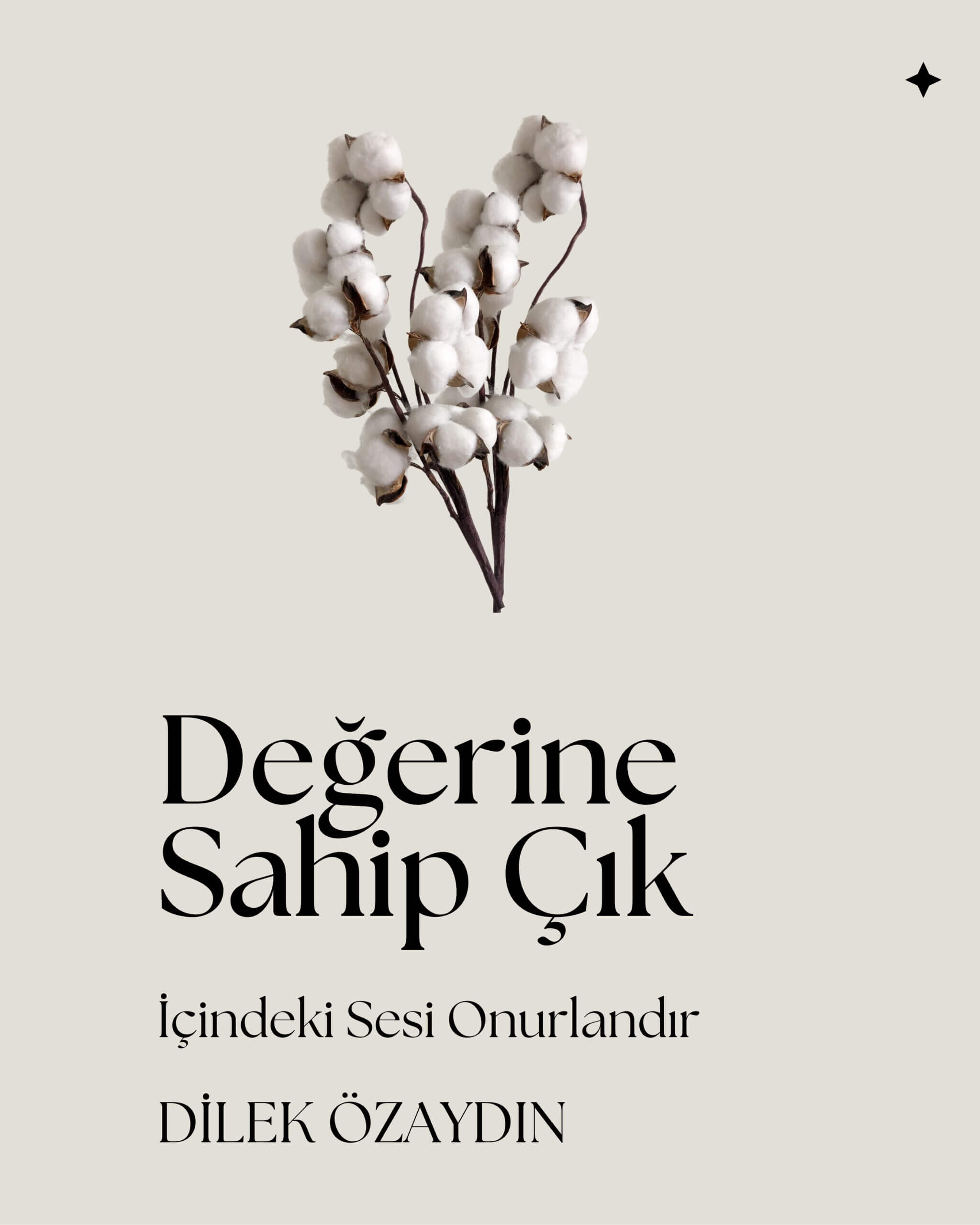https://triadaandart.com/wp-content/uploads/2025/10/degerine-sahip-cik-kucuk.jpg